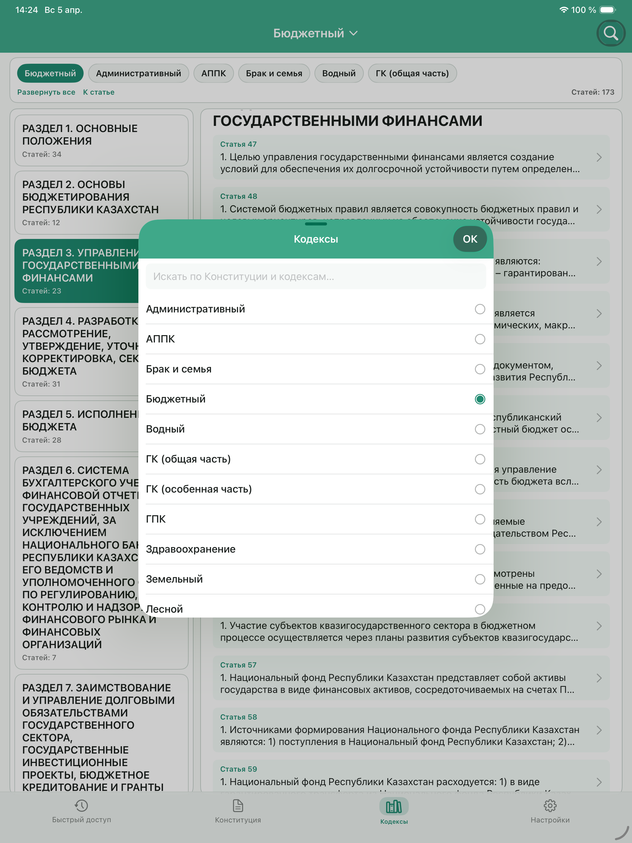 iPad screenshot 5